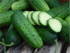 Pickling Boston - Cucumber